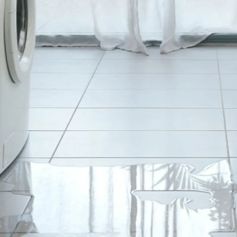 Appliance Leak Cleanup in Bensley, VA