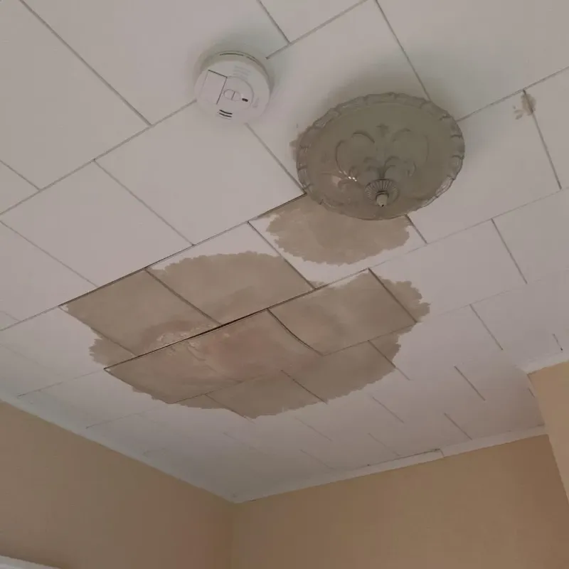 Ceiling Water Damage Repair in Bensley, VA