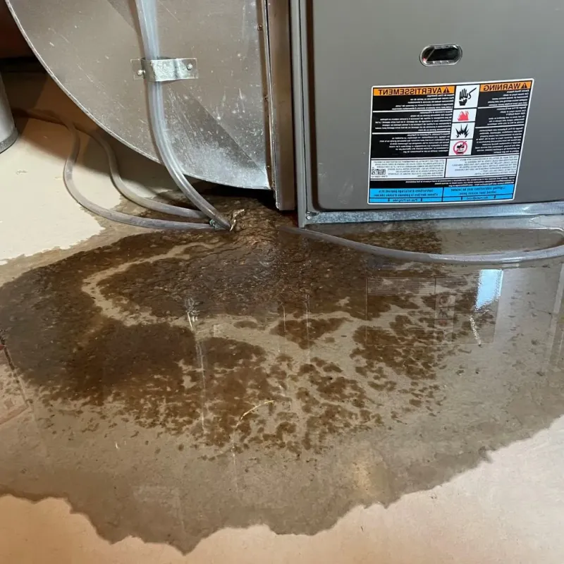Pipe Burst and Leak Restoration in Bensley, VA