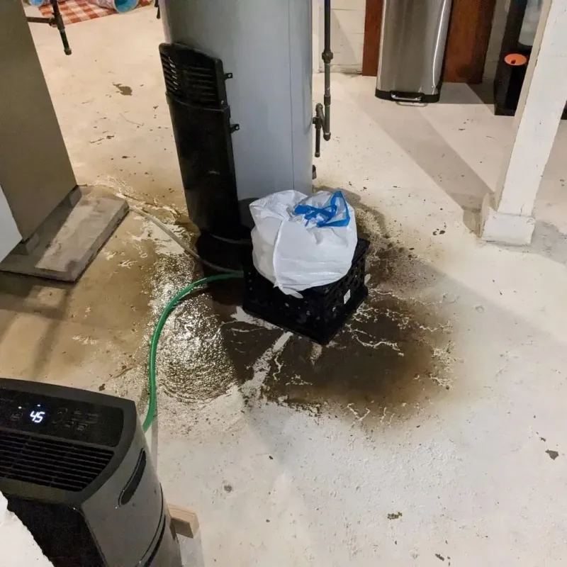 Sewage Backup Cleanup Service in Bensley, VA